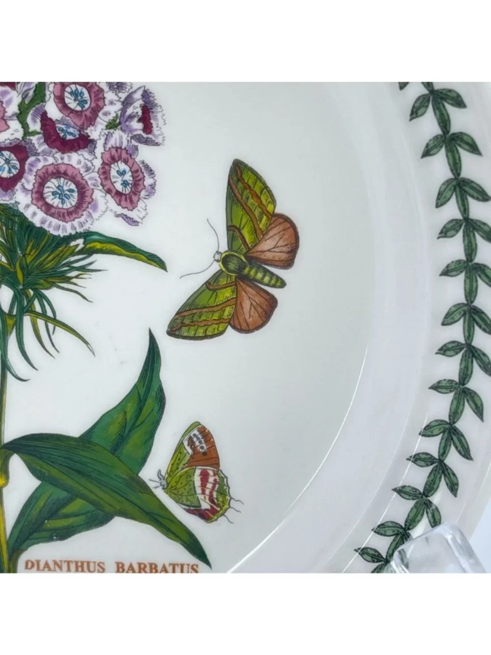 portmeirion botanic garden collection salad plate 